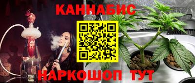 spice Тула