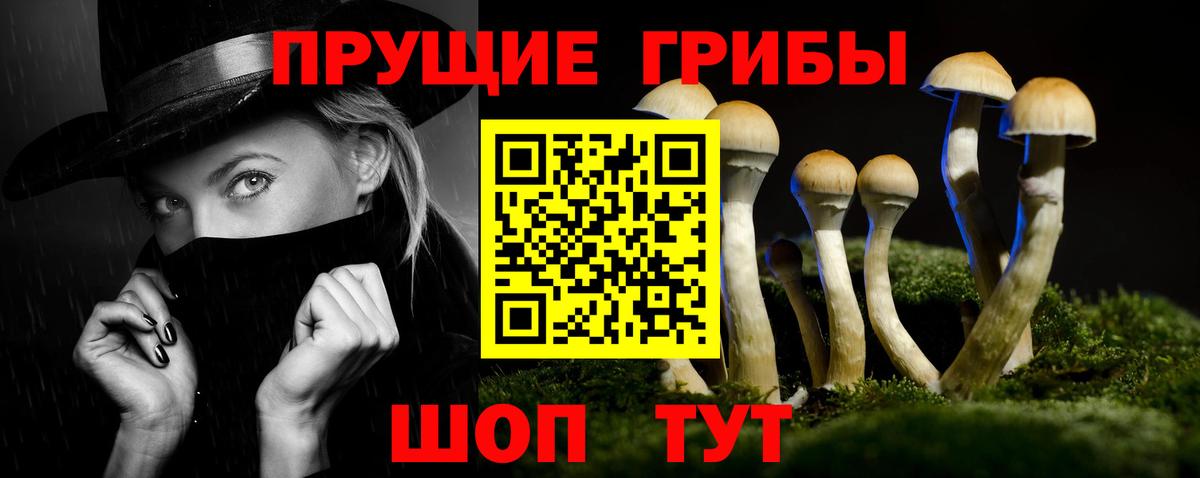 купить наркоту  Галлюциногенные грибы Psilocybe  Осинники  Вход с VPN  Галлюциногенные грибы ЛСД 